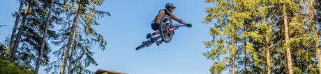 MTB im Bikepark