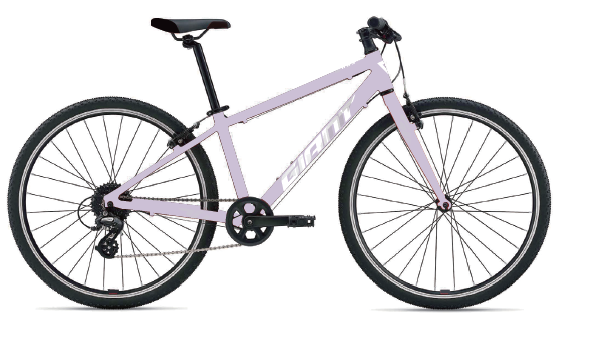 ARX 24 - Misty Lilac