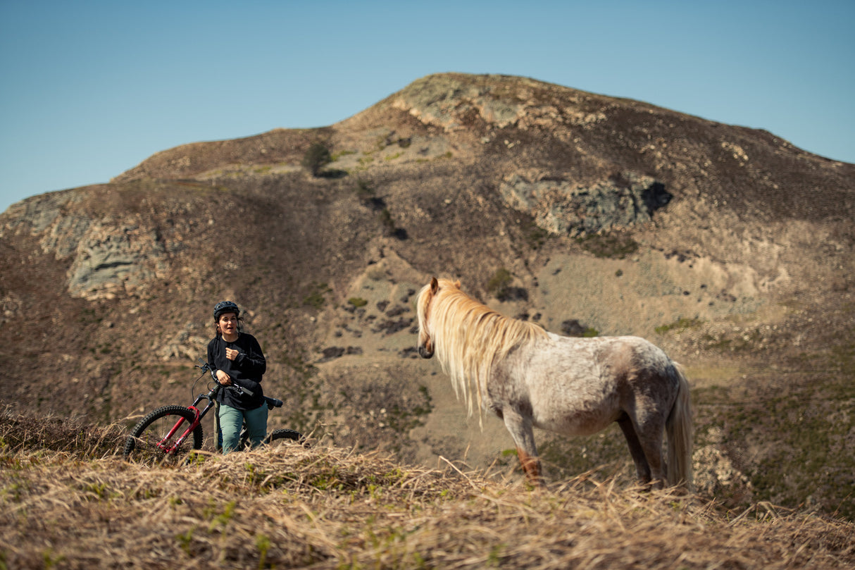 Bronson 4 C MX XT Gloss Moss and Blue