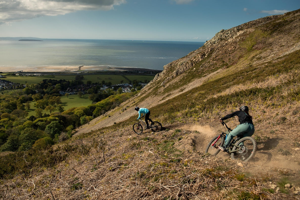 Bronson 4 C MX XT Gloss Moss and Blue