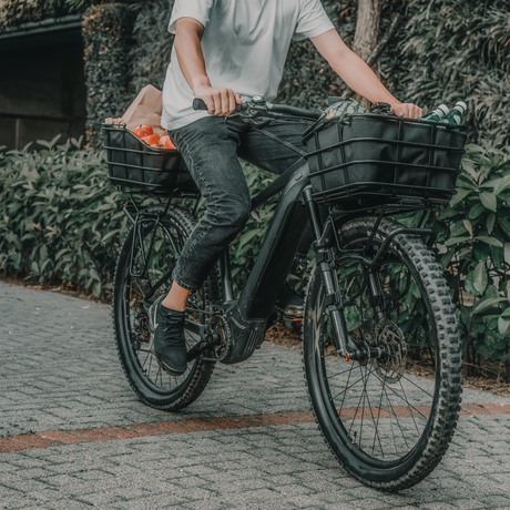 Urban Basket DX 22L Aluminum