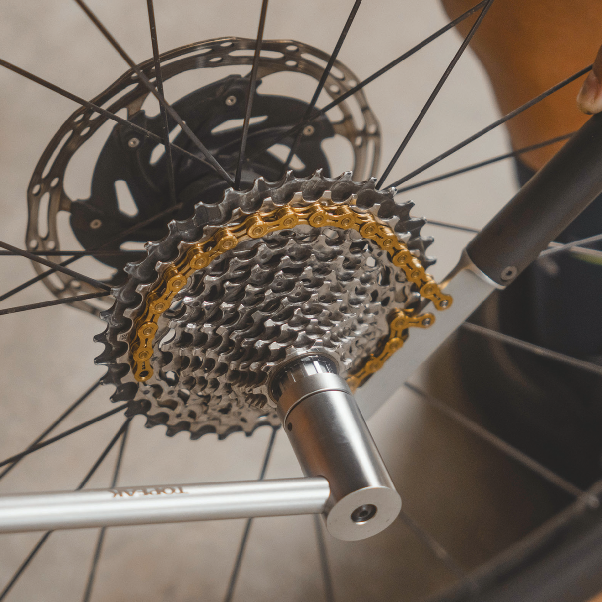 Chain Whip, Kettenpeitsche