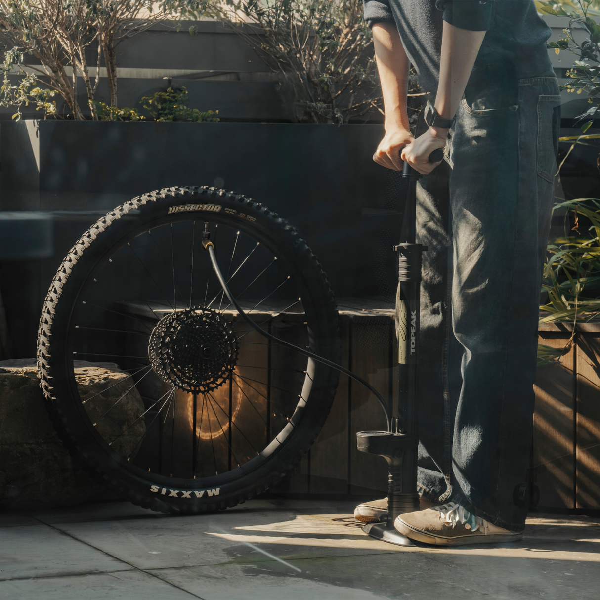 Joeblow Mountain X Digital