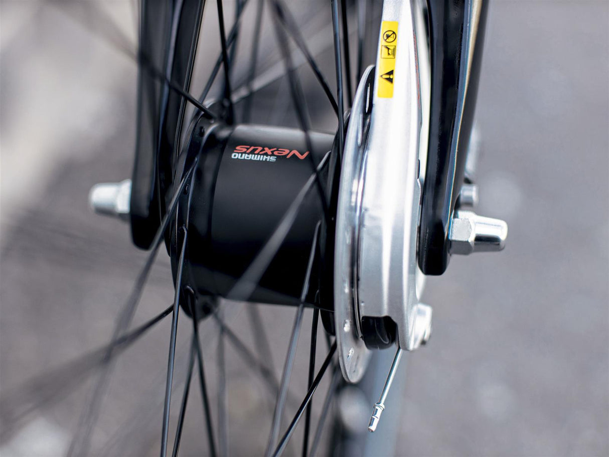 District 1 EQ Lowstep Teal