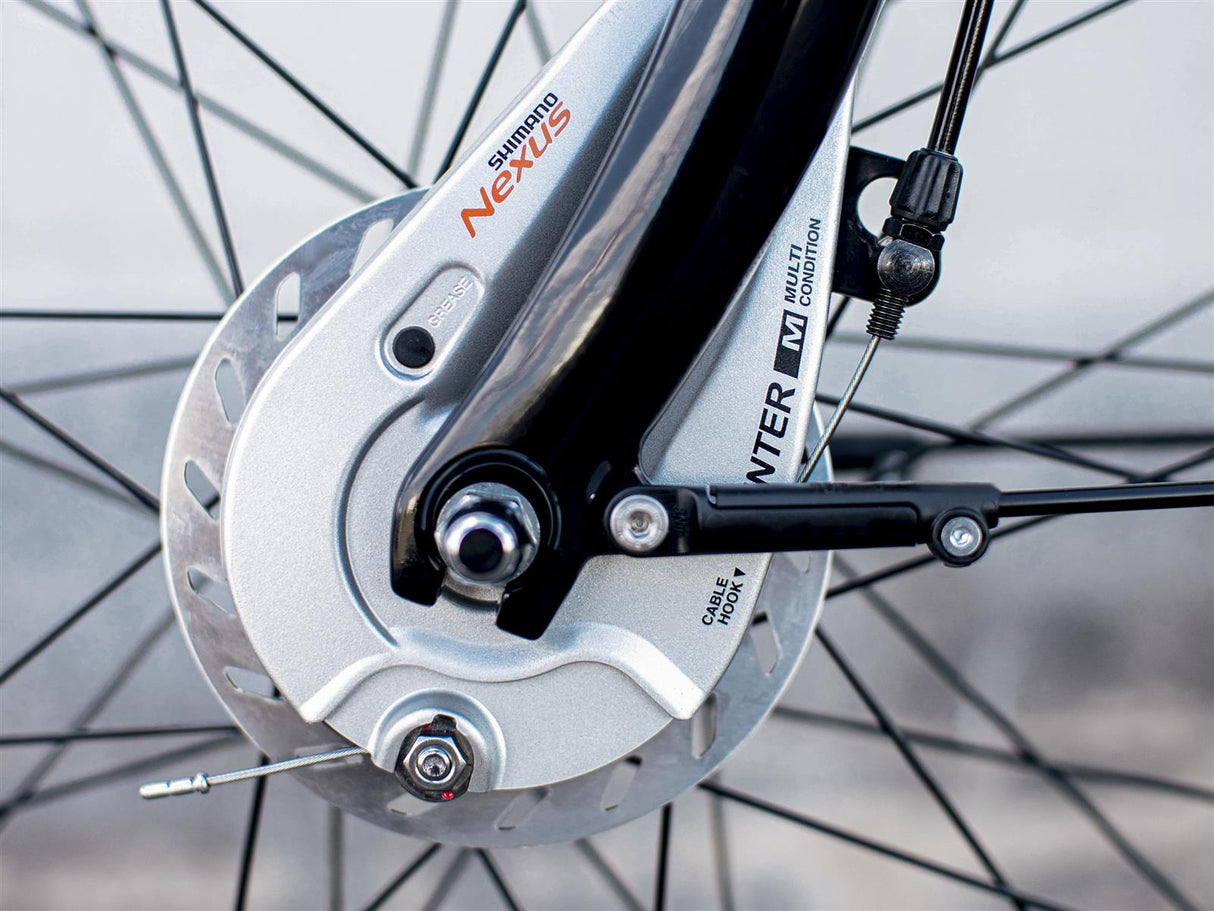 District 1 EQ Lowstep Teal