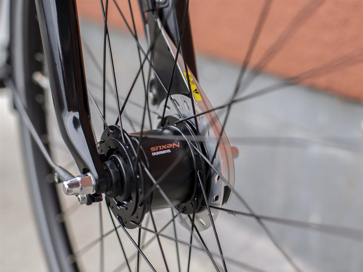 District 2 EQ Lithium Grey