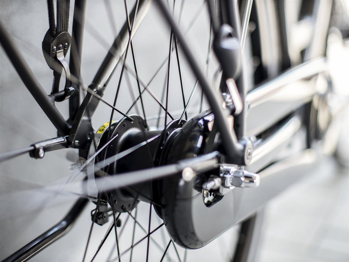 District 2 EQ Lowstep Lithium Grey