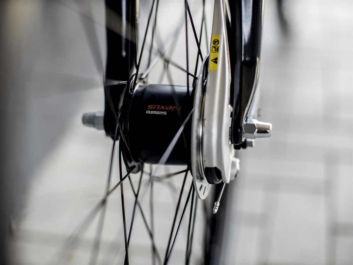 District 2 EQ Lowstep Lithium Grey