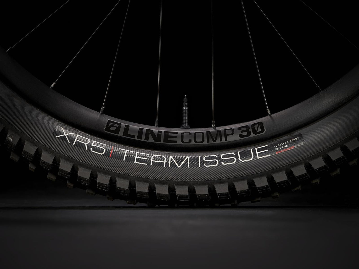 Fuel EX 8 GX AXS Matte Keswick