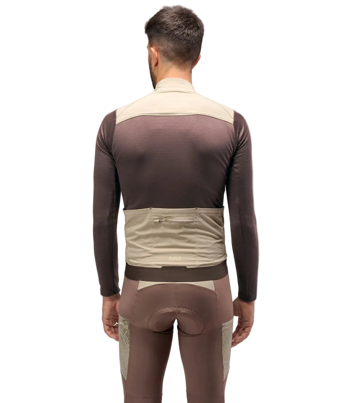 Odyssey Windblocker Merino Jersey - Raisin Purple