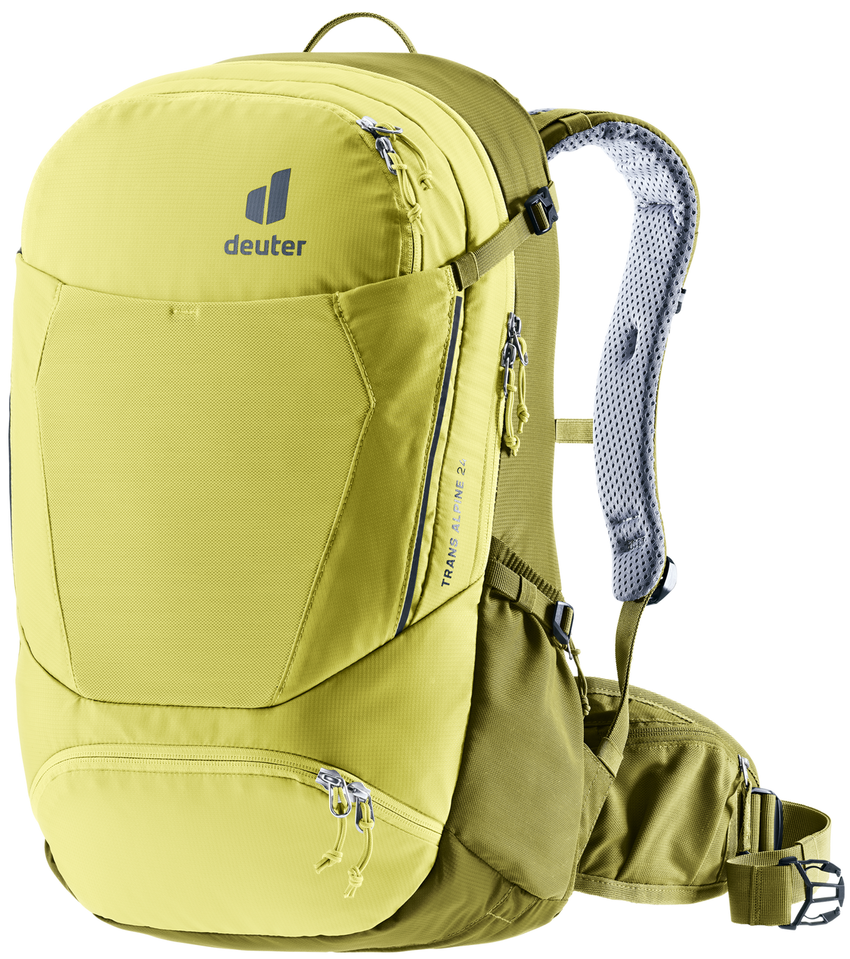 Trans Alpine 24 - sprout-cactus