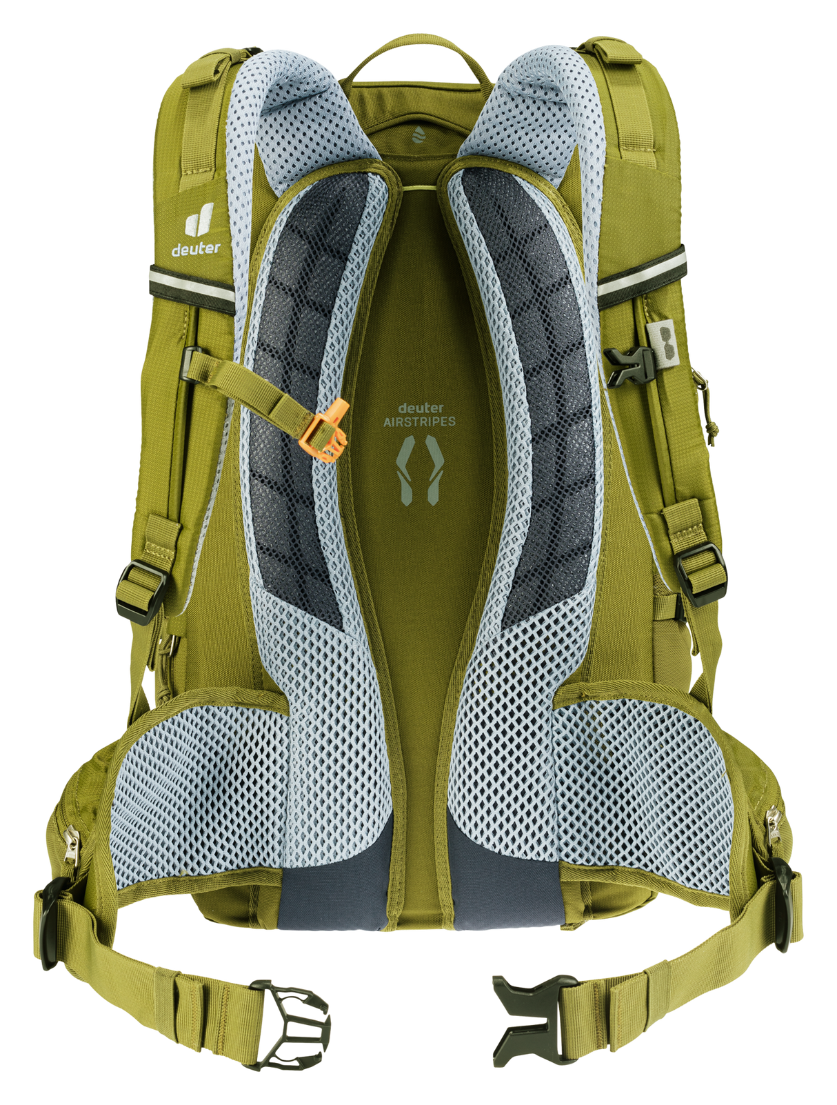 Trans Alpine 24 - sprout-cactus