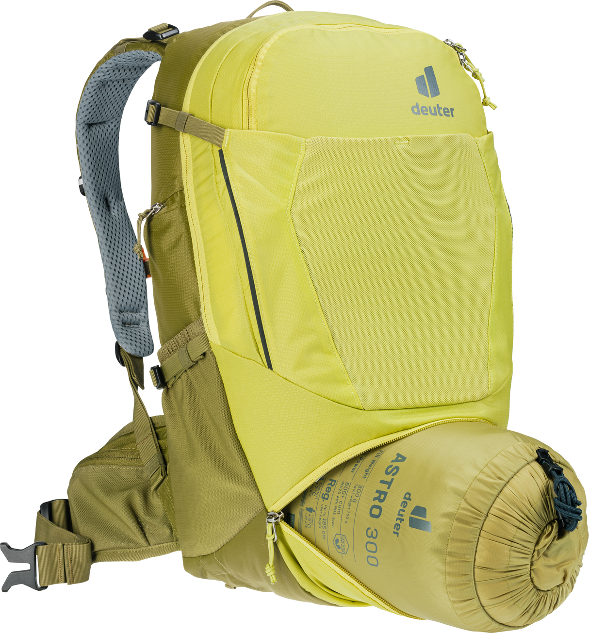 Trans Alpine 24 - sprout-cactus