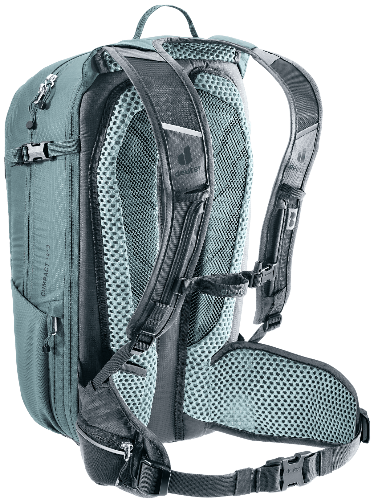 Compact 14+3 - graphite-shale