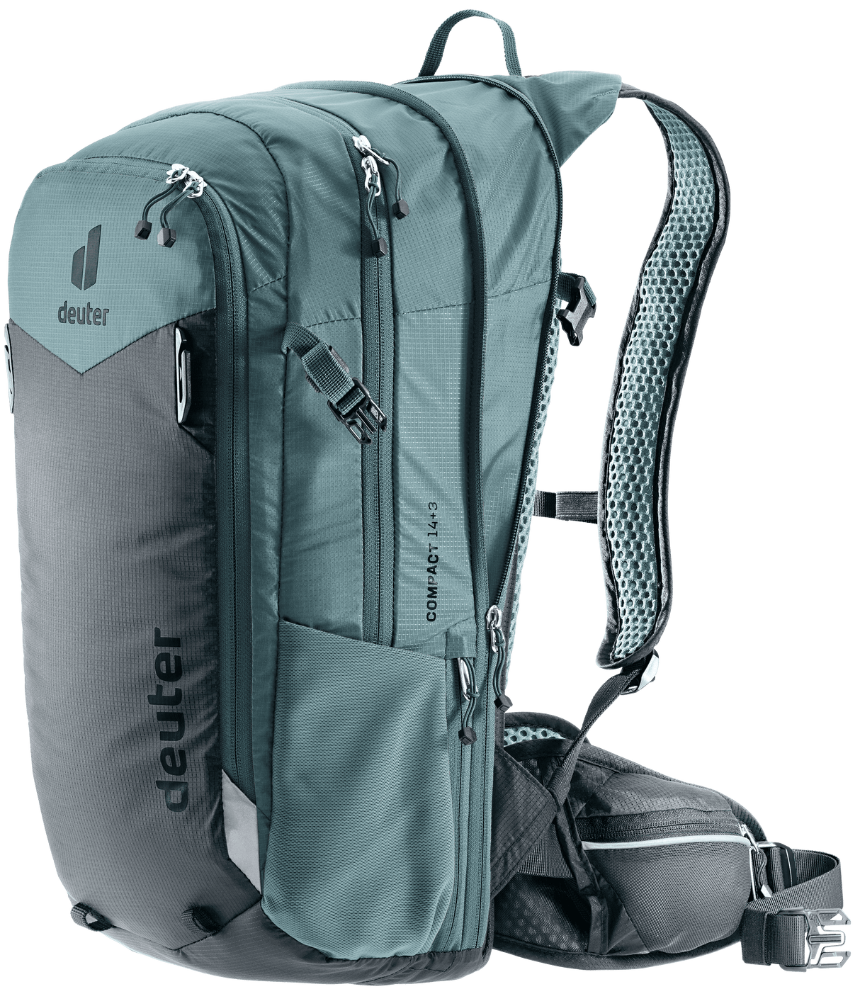 Compact 14+3 - graphite-shale