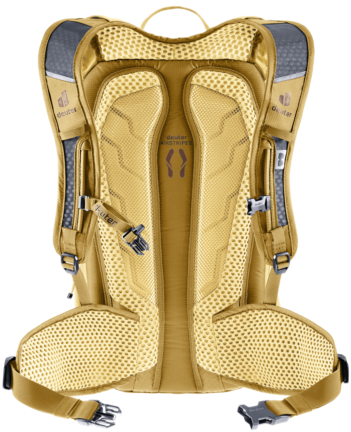 Compact 14+3 - savanna-dune