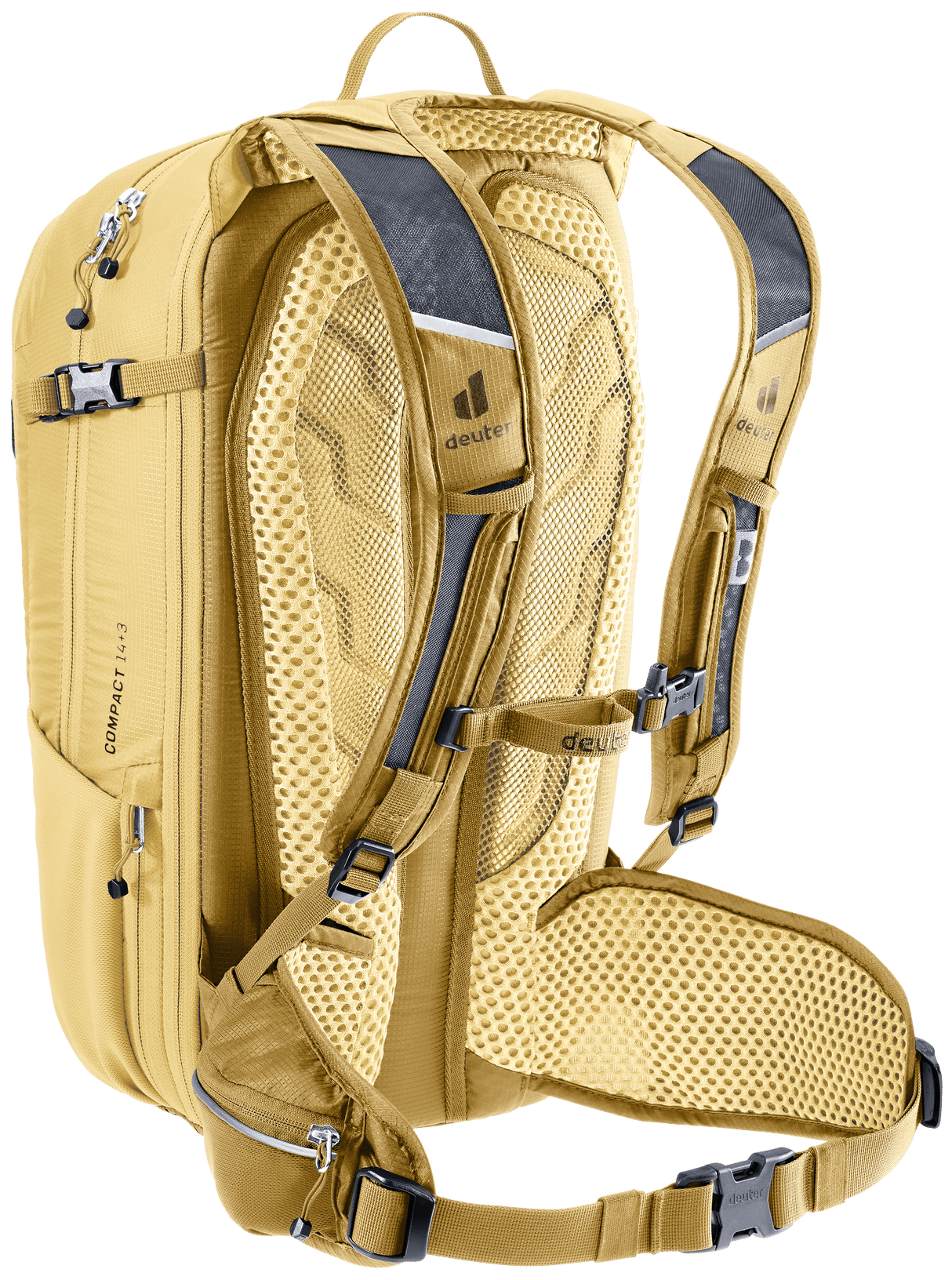 Compact 14+3 - savanna-dune