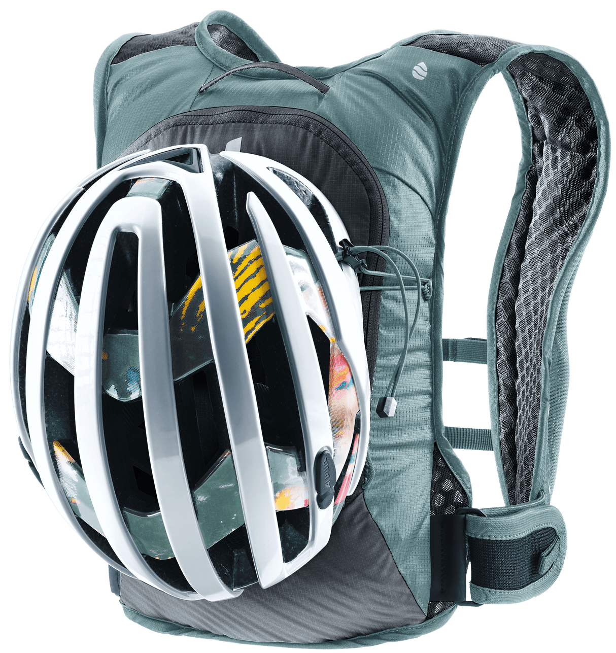 Rogla 5 - graphite-shale deuter