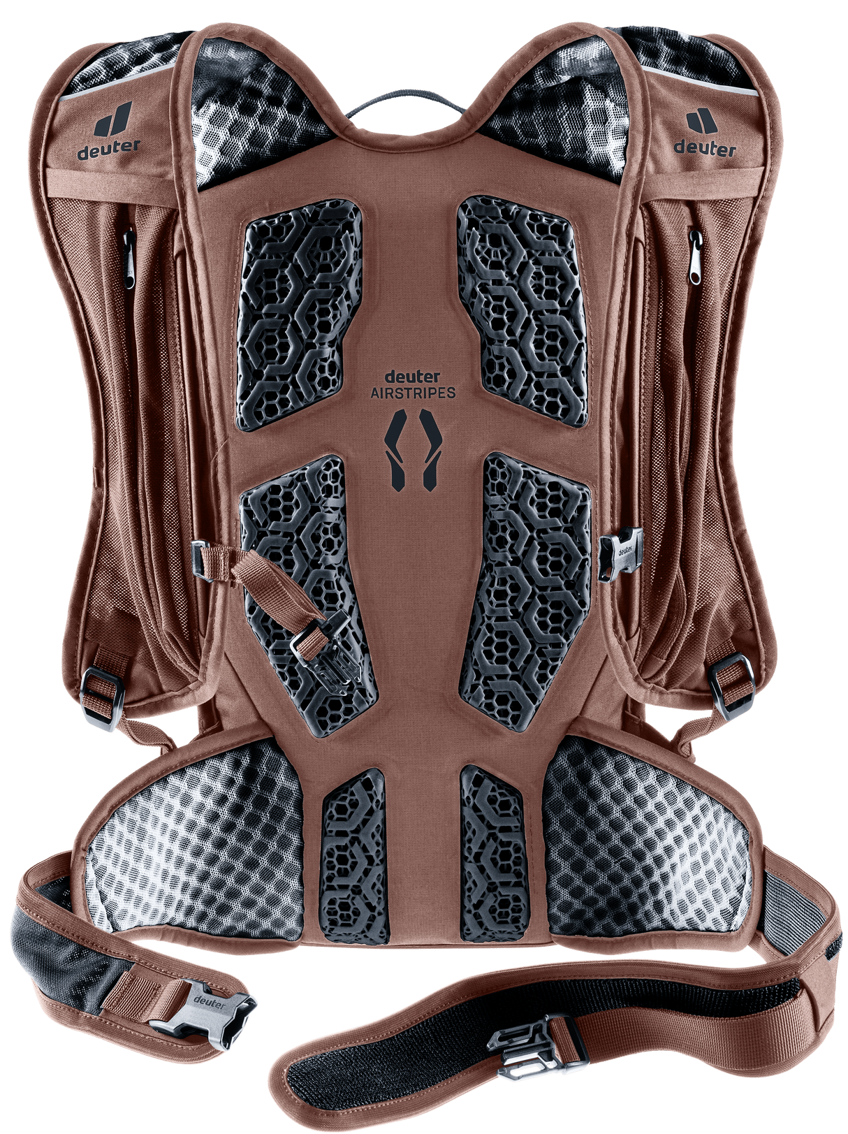 Hiline 8 - atlantic-raisin