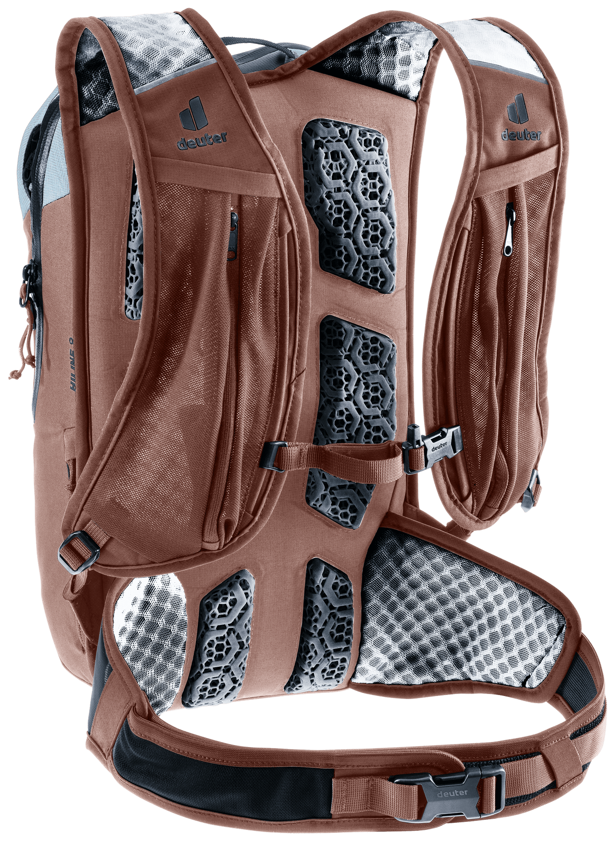 Hiline 8 - atlantic-raisin