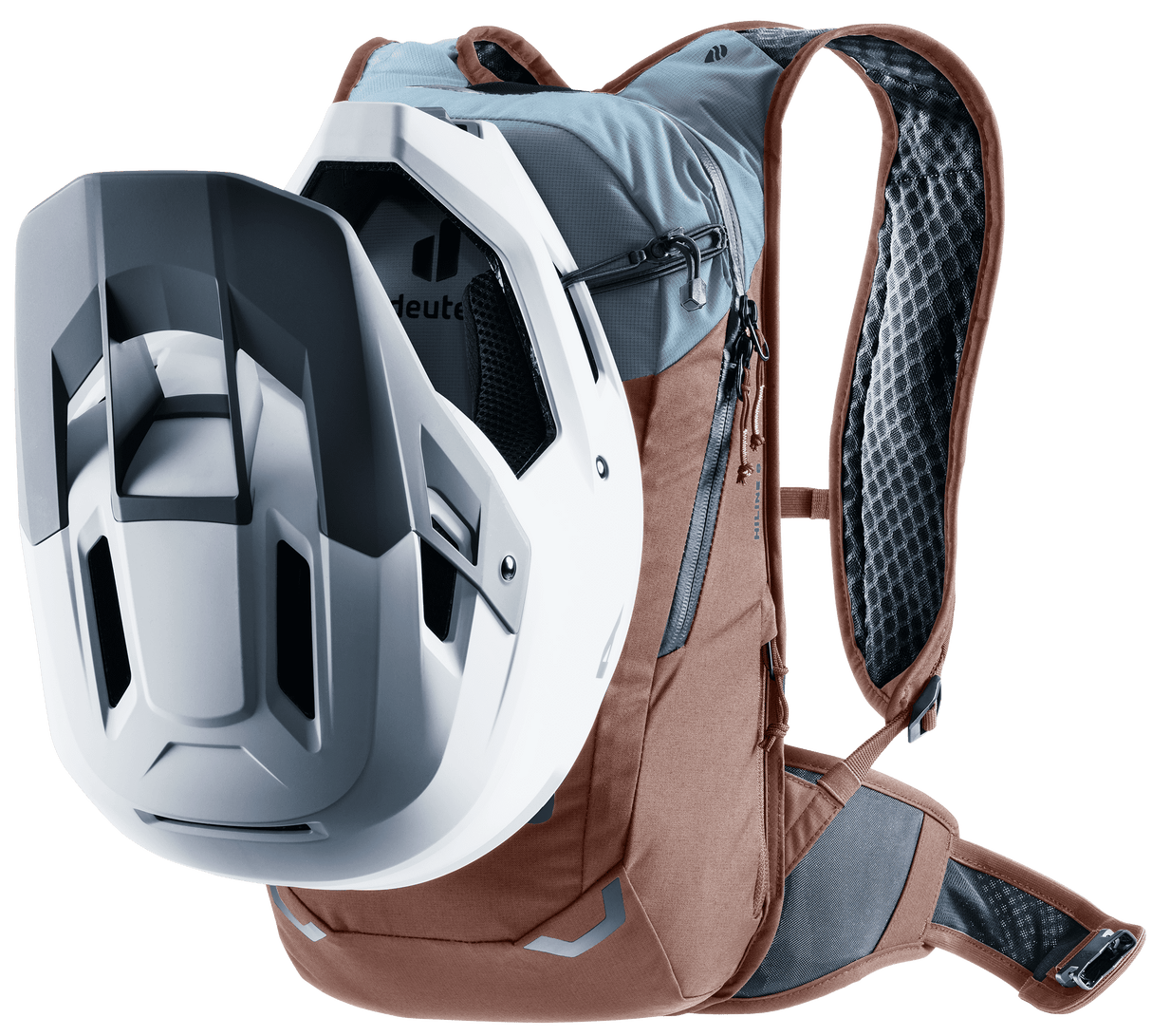 Hiline 8 - atlantic-raisin