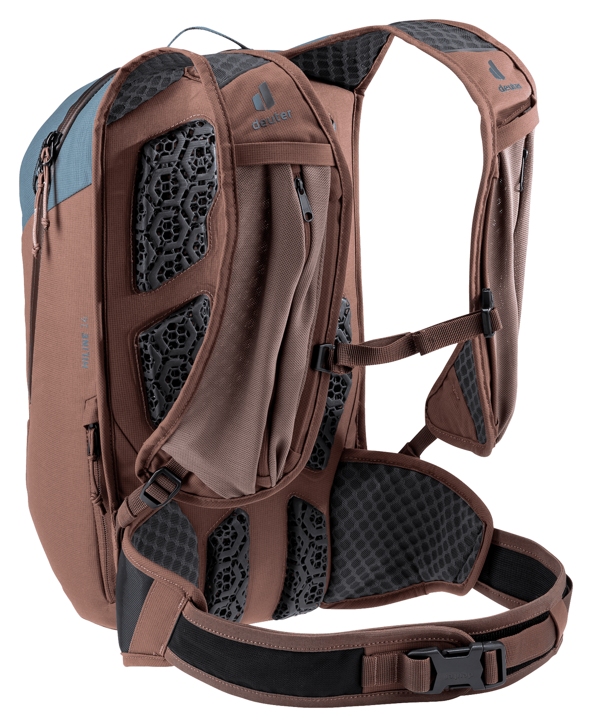 Hiline 14 - atlantic-raisin