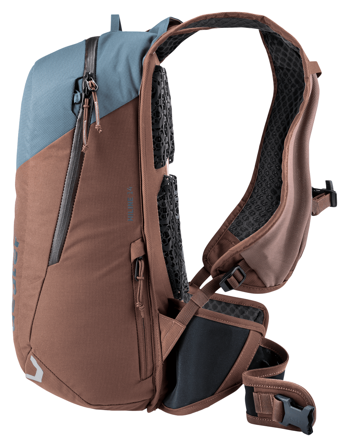 Hiline 14 - atlantic-raisin