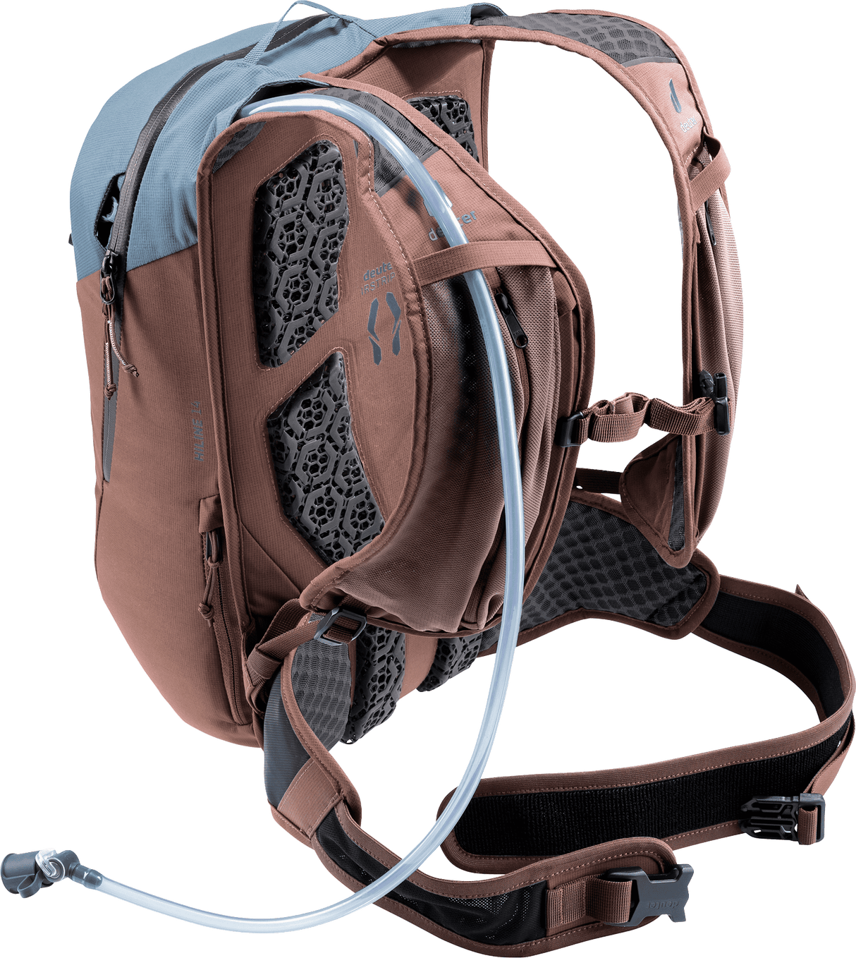 Hiline 14 - atlantic-raisin