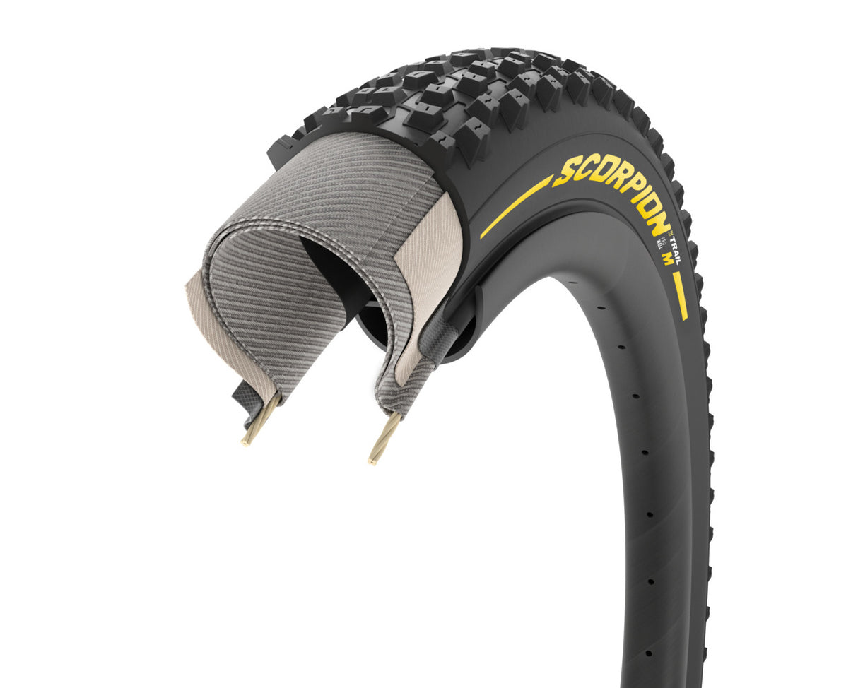 Scorpion Trail M Pro Wall Colour Edition