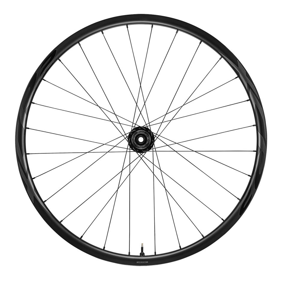 XCR 2 MTB Carbon 29 - Hinterrad