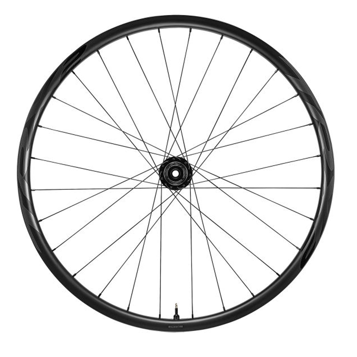 TRX 2 MTB Carbon 29 - Hinterrad