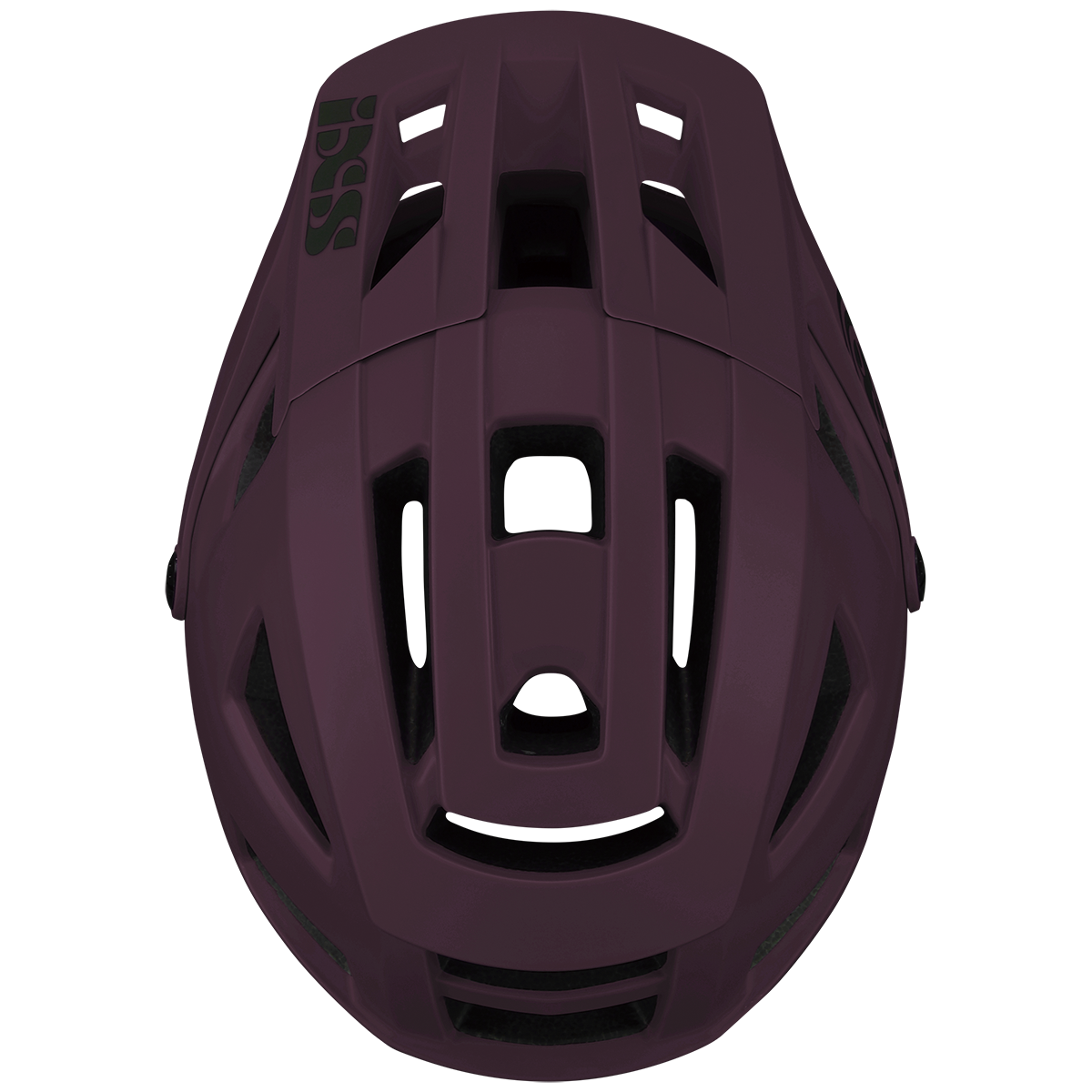Trigger AM Helm - Raisin iXS