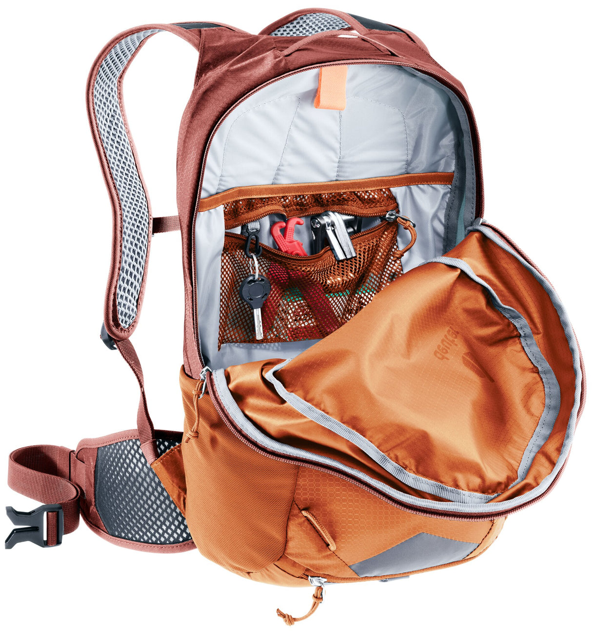 Race 16 - chestnut-redwood