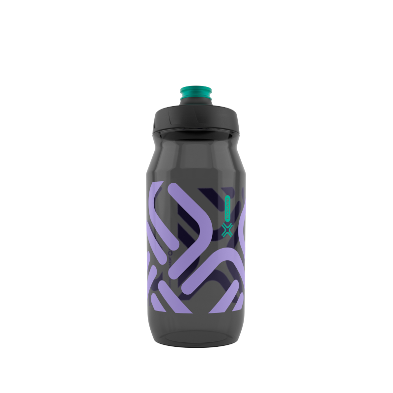 FIDGUARD BOTTLE 600 antibacterial - black/lila