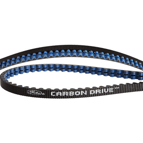 CDX Riemen - schwarz/blau
