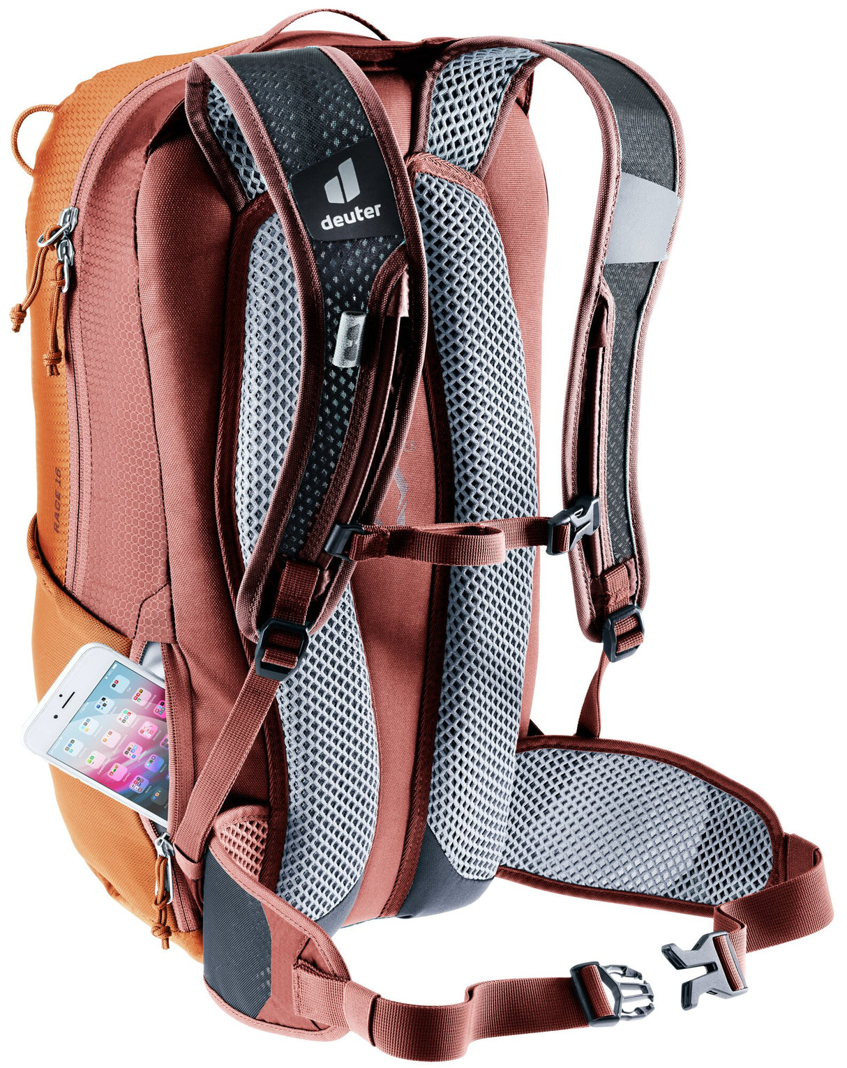 Race 16 - chestnut-redwood