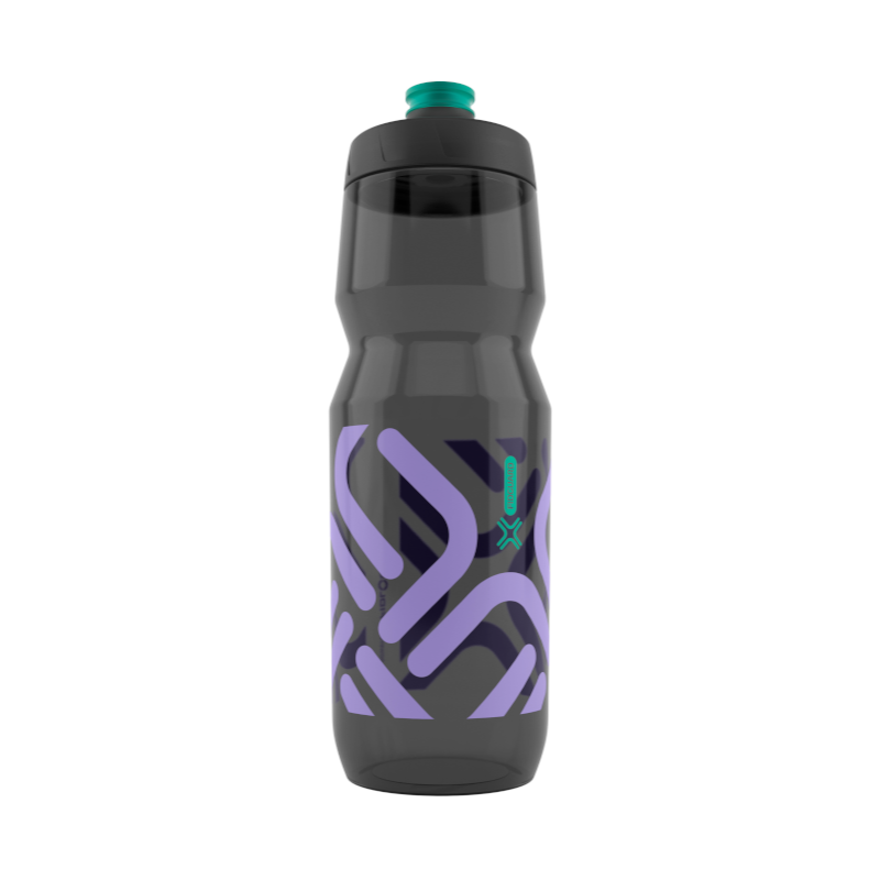 FIDGUARD BOTTLE 750 antibacterial - black/lila
