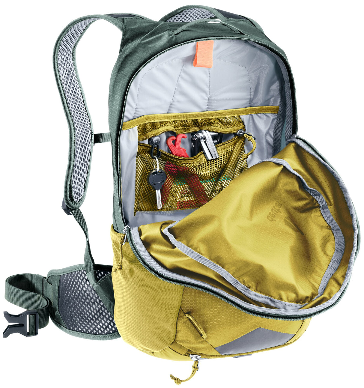 Race 16 - turmeric-ivy