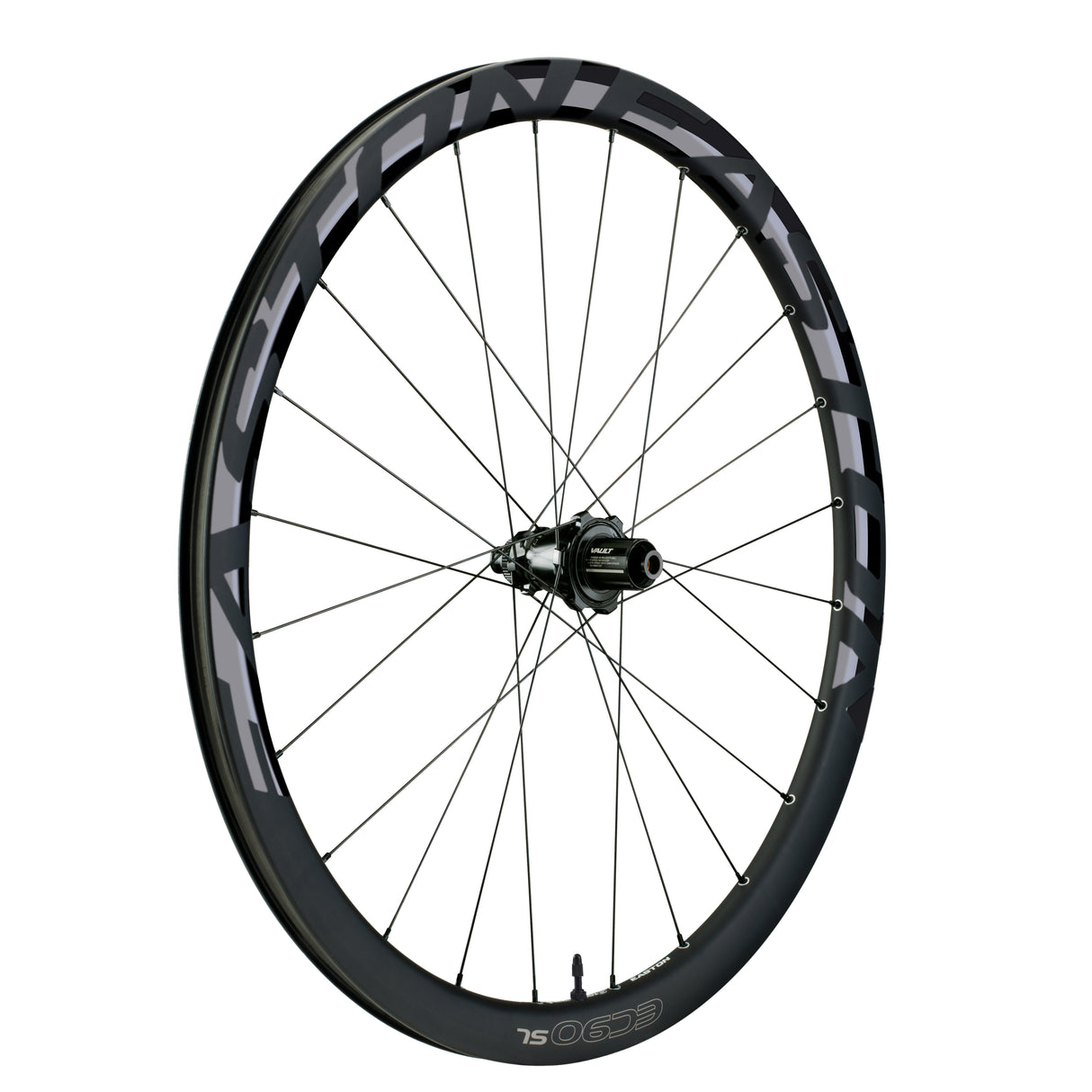 Laufrad EC90 SL 38 Hinterrad 12 x 142 mm - Shimano - schwarz