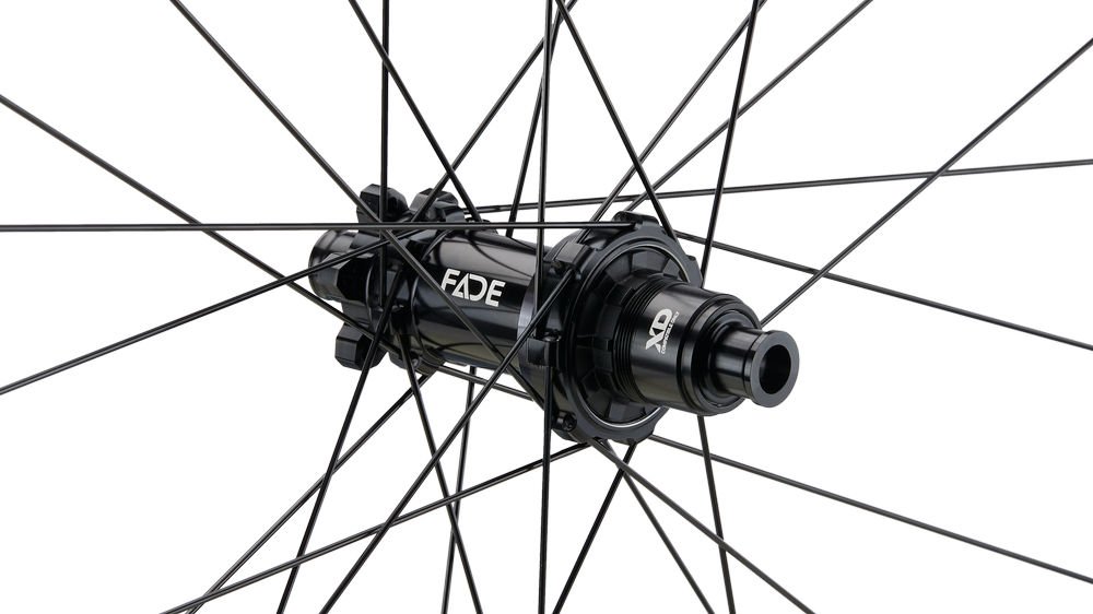 Phase 30 Enduro Strong 29" Carbon, 6 Loch, 12x148 mm, Sram XD - schwarz