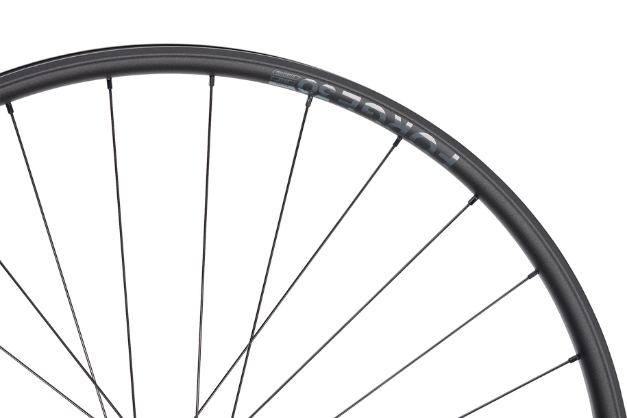 Forge 30 XC Light 29" Aluminium, 6 Loch, 12x148 mm, Shimano HG - schwarz