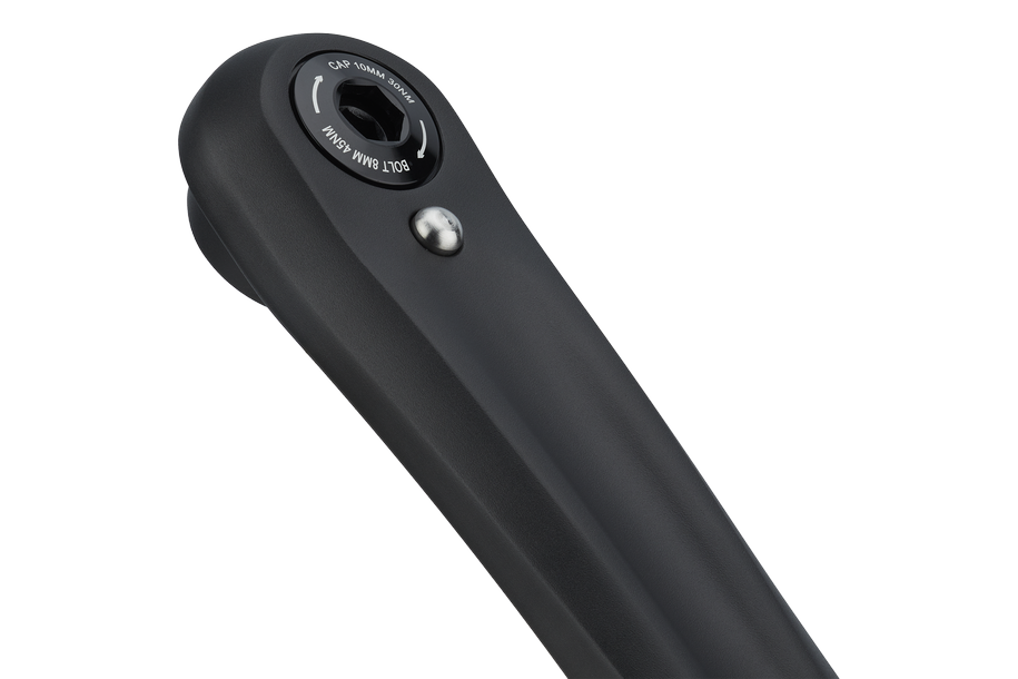 Forge E-Bike Crank, 165 mm - schwarz Newmen