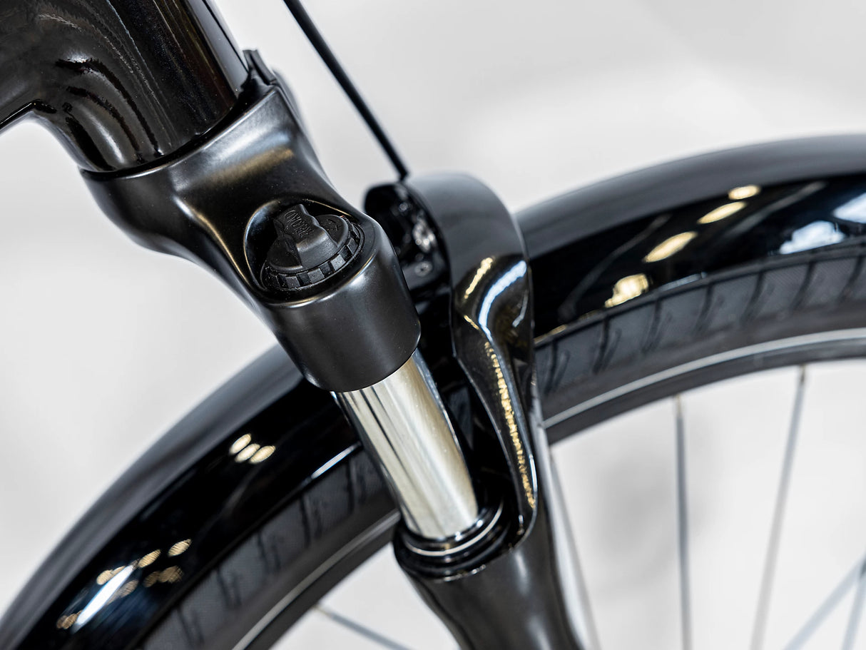 Allant+ 5 Tiefeinsteiger Trek Black 725Wh