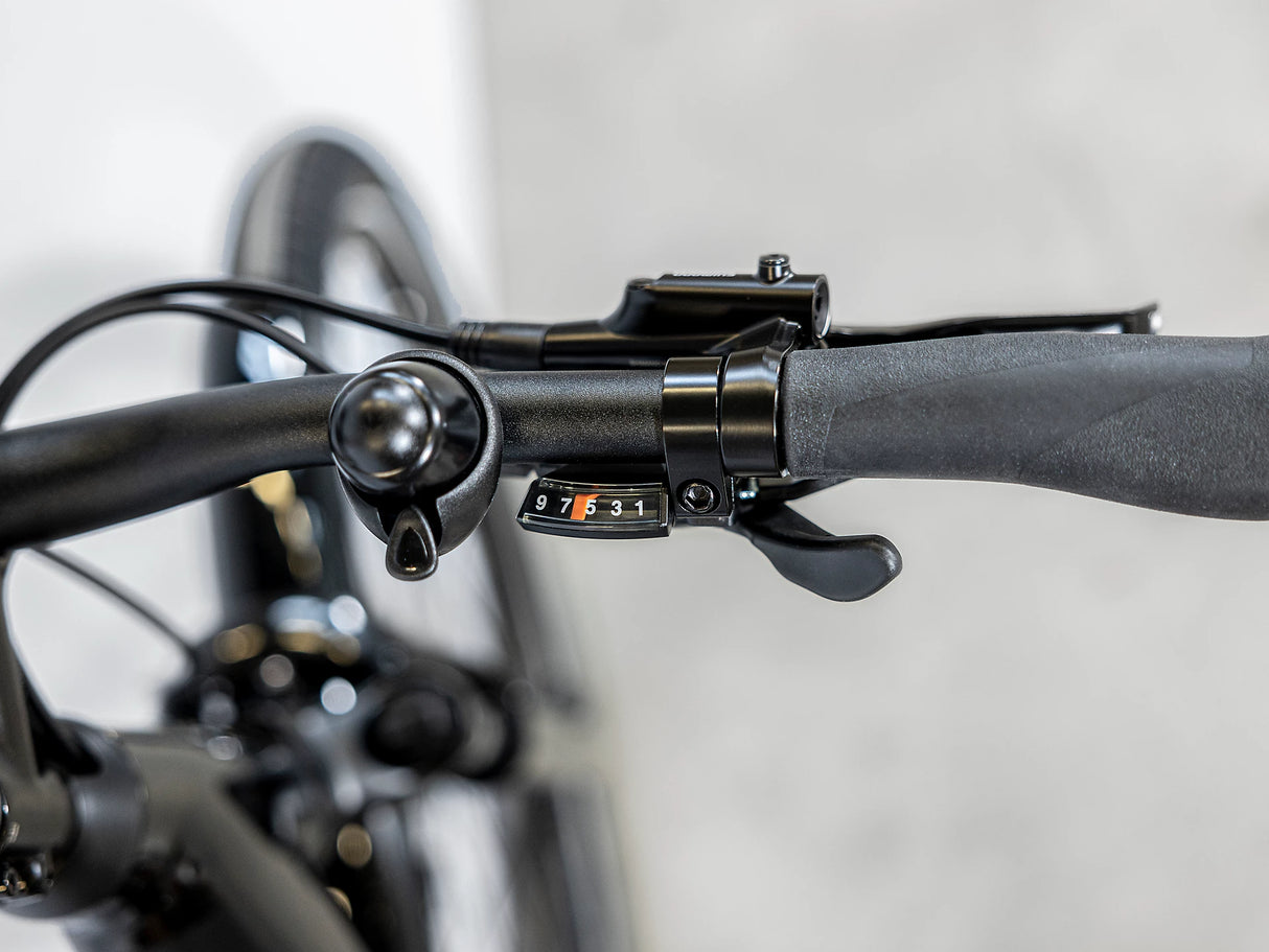 Allant+ 5 Tiefeinsteiger Trek Black 725Wh