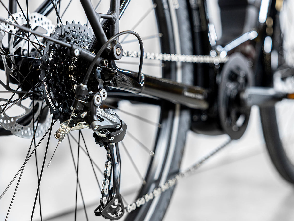 Allant+ 5 Tiefeinsteiger Trek Black 725Wh