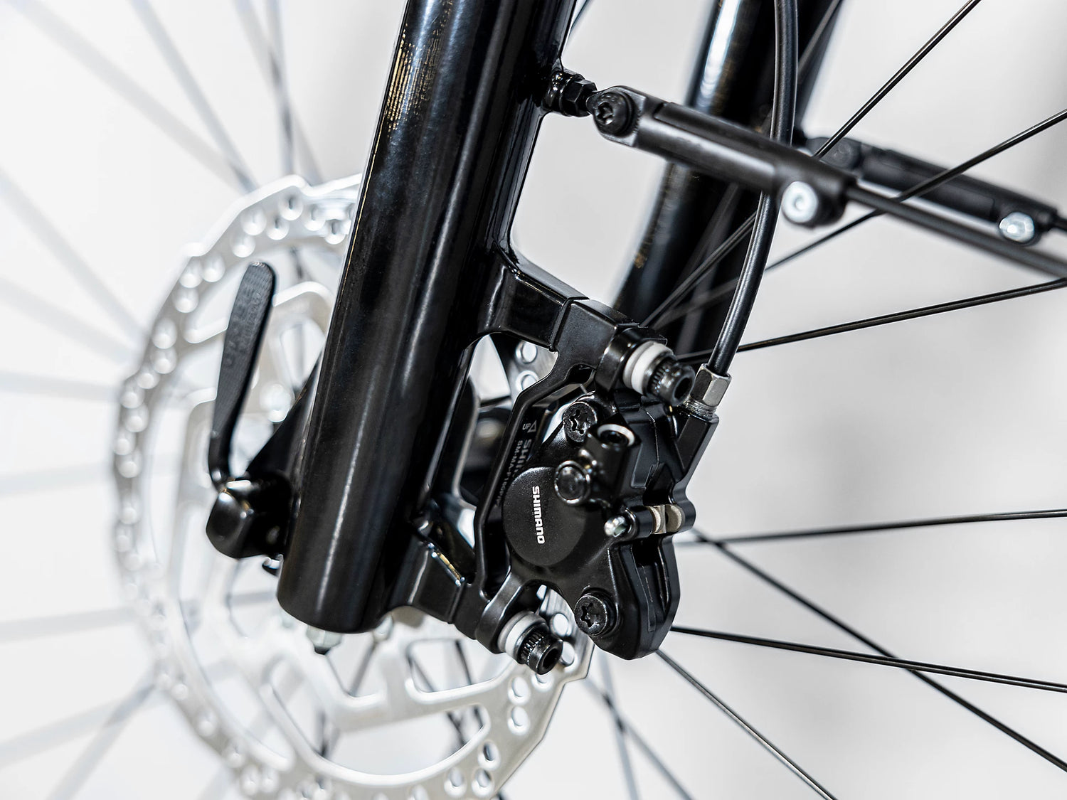 Allant+ 5 Tiefeinsteiger Blue Sage 545Wh