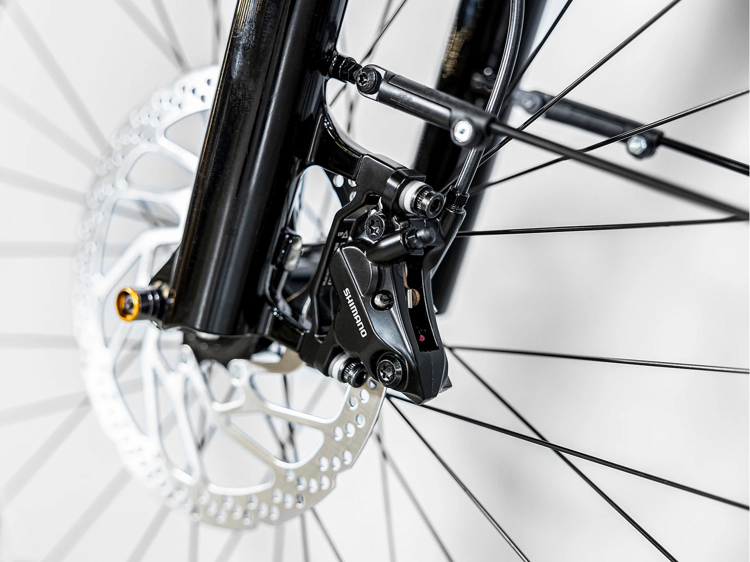 Allant+ 6 Tiefeinsteiger Galactic Grey 725Wh