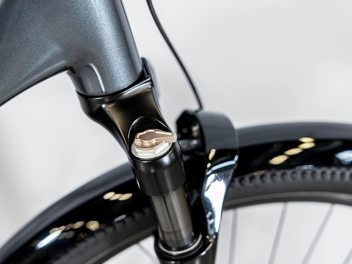 Allant+ 6 Tiefeinsteiger Galactic Grey 725Wh