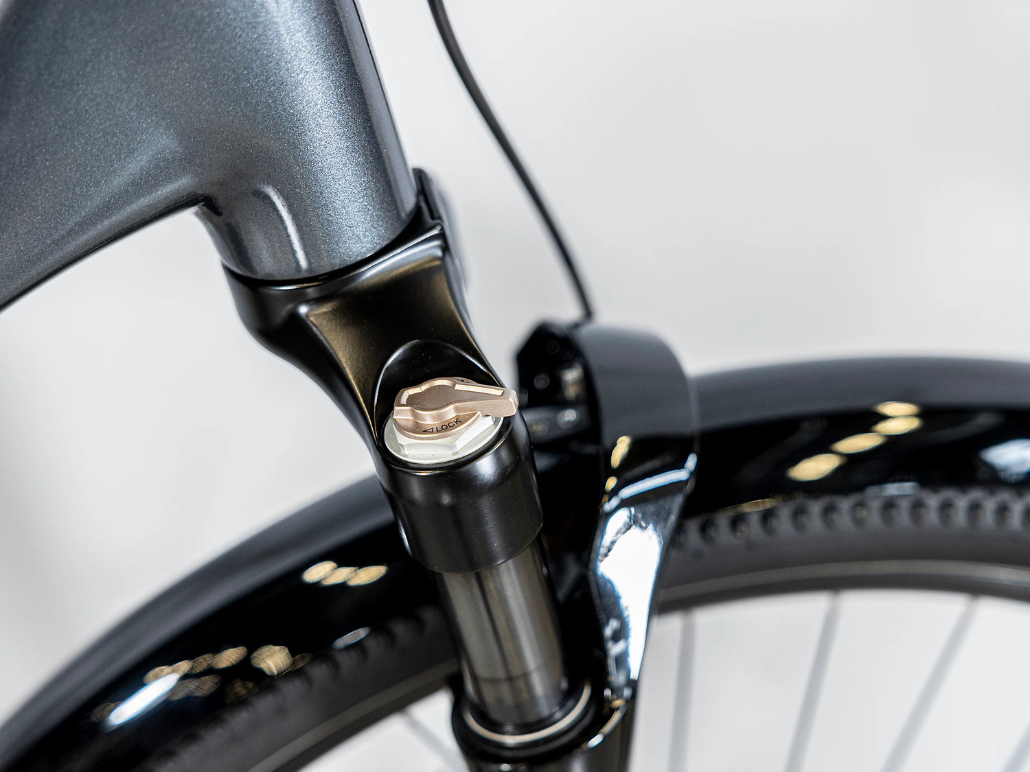 Allant+ 6 Tiefeinsteiger Galactic Grey 545Wh