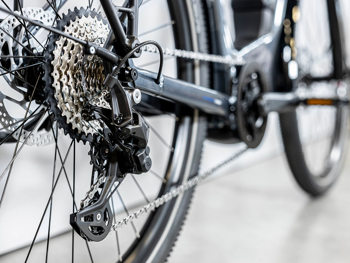 Allant+ 6 Tiefeinsteiger Galactic Grey 725Wh